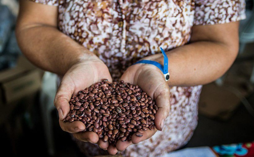 Agroecologia é tema de debates no Paraná