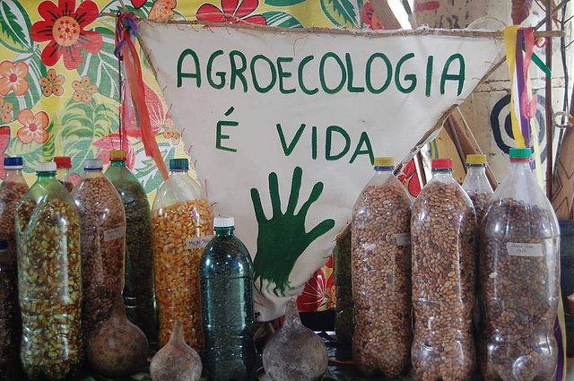 Agroecologia é compromisso de 300 candidaturas para a produção de alimentos e combate à fome