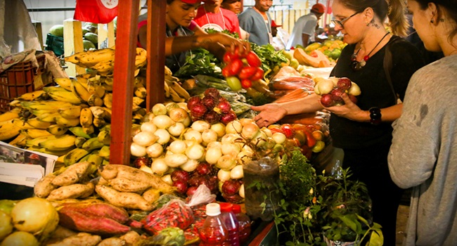Brasil tem tudo para adotar a agroecologia como modelo na produção de alimentos
